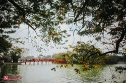 Hà Nội lãng mạn mùa cây thay lá