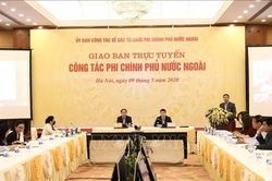 Hội nghị giao ban trực tuyến công tác phi chính phủ nước ngoài