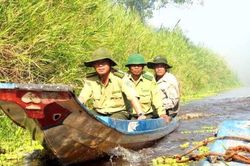 'Nóng bỏng' rừng tràm Cà Mau