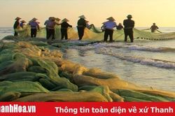 Nghề kéo rùng ở Xứ Thanh