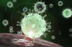 Virus corona gây dịch Covid-19 còn có khả năng đột biến