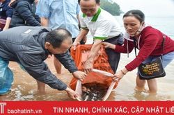 Tăng ni, phật tử Cẩm Xuyên thả hơn 1 tấn cá giống xuống hồ Kẻ Gỗ