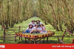 Ngành dịch vụ thất thu vì dịch bệnh