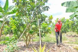 Khánh Vĩnh: Đẩy mạnh xây dựng nông thôn mới