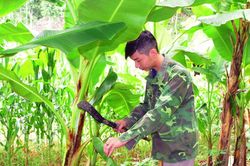 Cán bộ đoàn năng động trong phát triển kinh tế