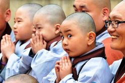 Cười cho đời bớt khổ