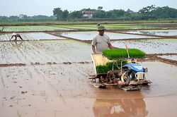Chủ động lấy và giữ nước trên ruộng