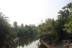Dòng sông 'bốc mùi' trong đô thị