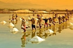 Muối cuộc đời