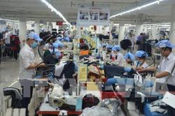 Nhật Bản hỗ trợ Bến Tre thiết lập chuỗi giá trị nông nghiệp