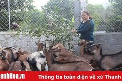 Để tiêu thụ con nuôi đặc sản bền vững