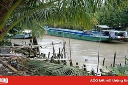 Cần giải quyết tình trạng cơ sở sấy lúa gây ô nhiễm