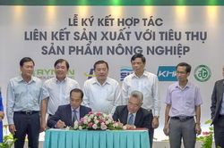 Tiếp tục hỗ trợ các cơ sở sản xuất và doanh nghiệp duy trì sản xuất kinh doanh