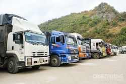 Thông quan tích cực, 338 xe nông sản, trái cây xuất qua Lạng Sơn ngày 12/3
