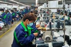 Từ năm 2021, người lao động sẽ phải thử việc tới 6 tháng?