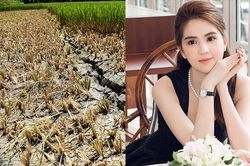 Ngọc Trinh, Thủy Tiên chi tiền, kêu gọi giúp miền Tây vượt qua hạn mặn