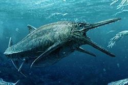 Quái vật biển đáng sợ hơn cả quái vật hồ Loch Ness