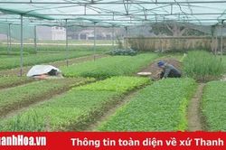 Huyện Nông Cống: Phát huy dân chủ, coi trọng vai trò nêu gương của cán bộ, đảng viên