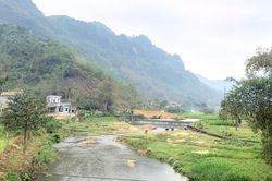 Hồi sinh những dòng suối