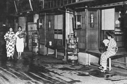 Thế giới Geisha và chuyến du hành quận đèn đỏ Tokyo