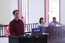 Lừa đảo, mang 2 chiếc ô tô của dì ruột đi chuyển nhượng lấy 650 triệu đồng