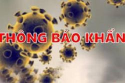 TPHCM: Thông báo khẩn đến hành khách đi trên chuyến bay QR970
