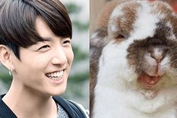 BTS: Jungkook chính là 'chú thỏ' được ARMY yêu thích nhất