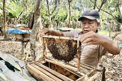 Tín dụng chính sách cho hộ mới thoát nghèo