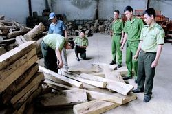 Sơn La giảm áp lực cho Kiểm lâm bằng công nghệ thông tin