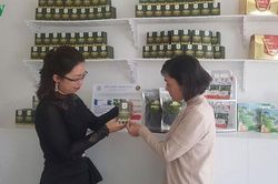 Đà Nẵng: Cô gái trẻ khởi nghiệp thành công từ nuôi trồng tảo xoắn Spirulin