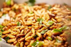 Những đặc sản của Việt Nam khiến nhiều thực khách e dè