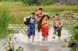 Dịch COVID-19: 'Trạng Tý' và nhiều phim Việt thay đổi lịch công chiếu