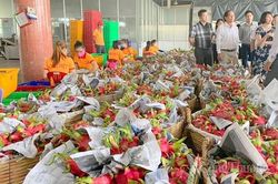 Tiền Giang: Xây dựng chuỗi trồng, mở rộng thị trường xuất khẩu thanh long