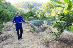 Lan tỏa các phong trào thi đua trong cựu chiến binh