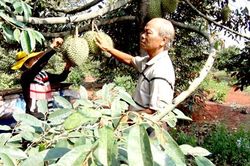 Điểm sáng trong xây dựng nông thôn mới