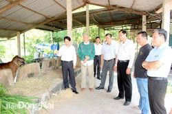 Kinh tế tập thể: Gắn kết để cùng phát triển