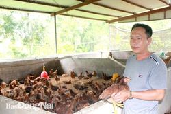 Không lơ là với cúm gia cầm