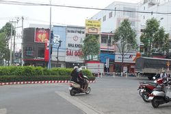 Cần cắt tỉa chiều cao của các cây trúc kiểng tại bồn hoa trước Bưu điện tỉnh