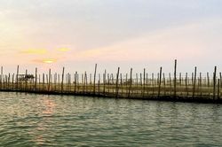 Thành lập khu bảo vệ nguồn lợi thủy sản An Xuân