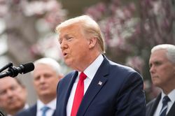Tổng thống Mỹ Trump tuyên bố không hoãn các cuộc bầu cử sơ bộ