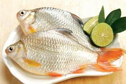 Nấu cá nên thả vào nước sôi hay nước lạnh để không bị tanh: Câu trả lời bất ngờ không phải ai cũng biết