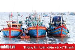Thực hiện các biện pháp bảo đảm an toàn cho người và tàu cá hoạt động trên biển