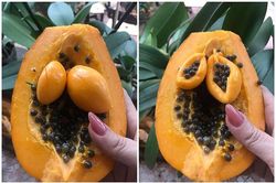 Bổ quả đu đủ, dân mạng 'tá hỏa' với thứ xuất hiện bên trong