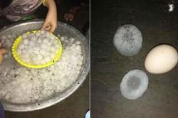 Lào Cai trắng xóa vì mưa đá, hạt to như quả trứng