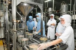 Chế biến nông - lâm - thủy sản: Hình thành những 'đầu tàu' dẫn dắt