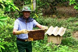 Nhịp sống mới bên cầu Soi Sính