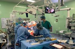Hai bệnh nhi hồi sinh kỳ diệu sau hai ca ghép gan đặc biệt