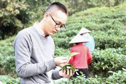 CEO Nguyễn Tiến Thành và cơ duyên với trà