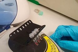 Kit thử SARS-CoV-2 nhanh gấp 3 lần bình thường