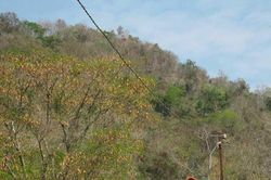 Đồng bằng sông Cửu Long giữa vòng vây hạn mặn (Kỳ 1)